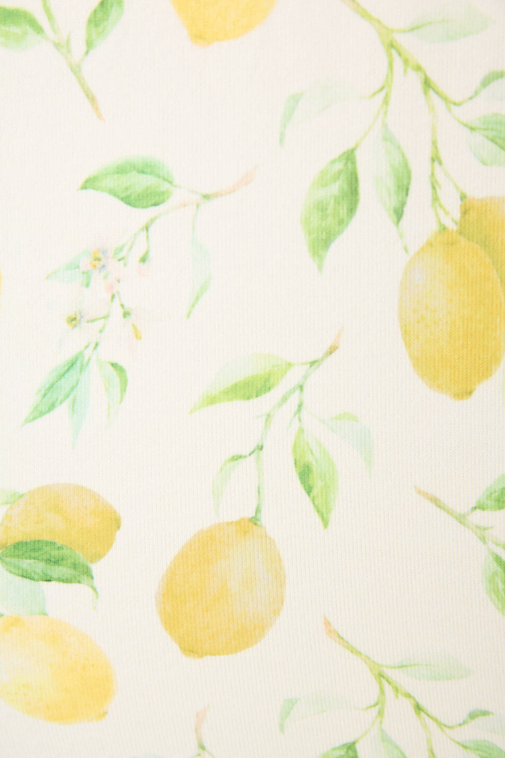 P.J. Salvage La Dolce Spritz Lemon Zest Long Sleeve Top